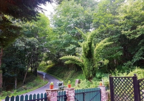 Amplia entrada a la casa con naturaleza al lado