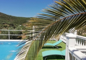 Amplio espacio para tomar el sol en la piscina