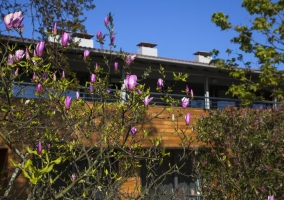 Fachada de la casa con jardín