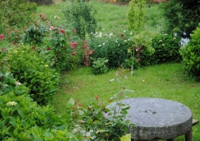 Vistas del jardín de la casa