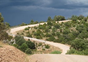 Camino de acceso al albergue