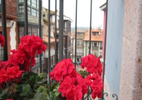 Vistas desde los balcones de nuestros apartamentos