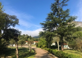 Paseos tranquilos y agradables que podrás disfrutar en el recinto