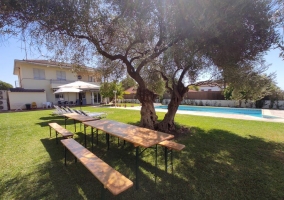 La Casa del Olivo en Córdoba
