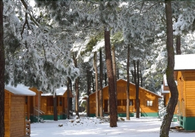 Cabañas nevadas en invierno