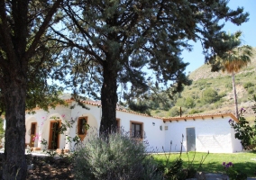 Acceso a la casa con zonas verdes al lado