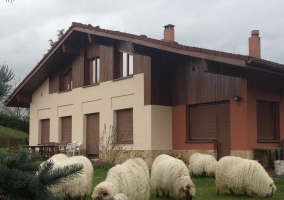 Ovejas pastando en los alrededores