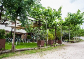 Aprovecha su terraza exterior al aire libre