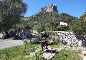 Jardín de la finca en el que podrás pasear