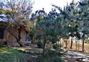 Horno de leña en el patio