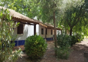 Bungalow Grande nº1