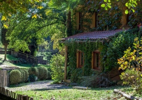 Terraza y jardín