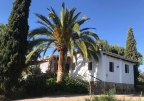 Cortijo Rosas Cantares- Casa Algarrobo