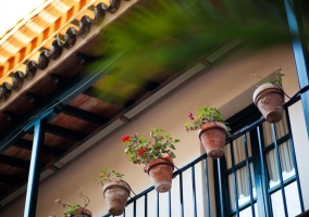 Balcones con macetas