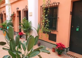 Patio interior con plantas