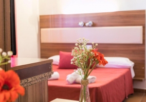 Habitación adaptada para personas con movilidad reducida - Cama grande