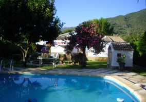 Piscina rodeada de plantas