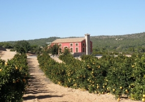 cocina de madera de la casa rural