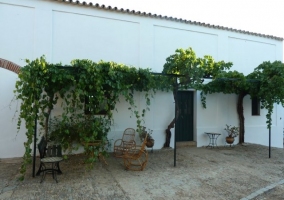 Patio central con macetas y plantas diversas del cortijo