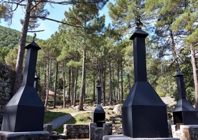 Casa Rural Entregredos - Guisando (Ávila)