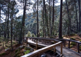 Casa Rural Entregredos - Guisando (Ávila)