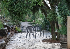 Bancal del Olivo