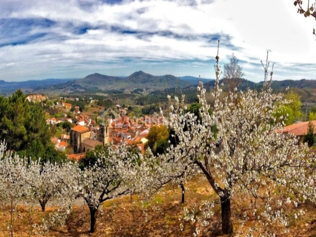 El Corral de la Higuera en Torre De Don Miguel (Cáceres)