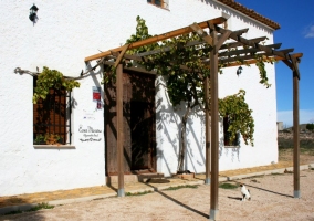 Puerta principal con plantas