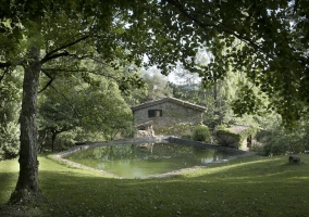 Exterior y piscina