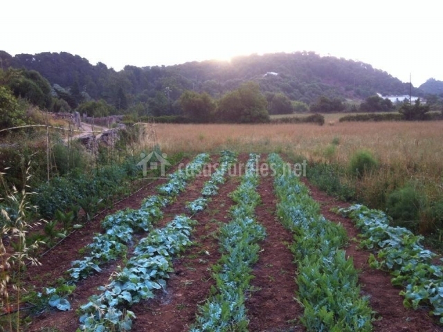 N'Aiguardent en Maó (Menorca)