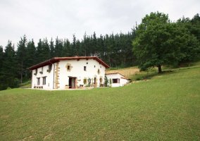 Goikomaia