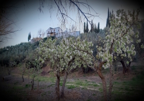 Cortijo El Capricho