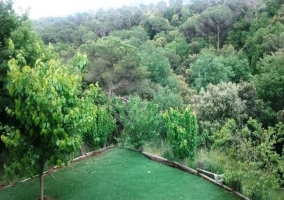 Vista del jardín