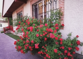 Fachada nevada