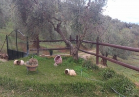 Muebles del jardín de la casa  rural