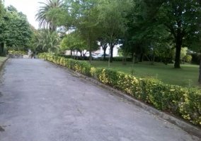 Entrada