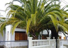Casa Verge