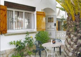 Acceso a la casa con una palmera a la entrada