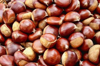 Magosto, una fiesta tradicional de otoño
